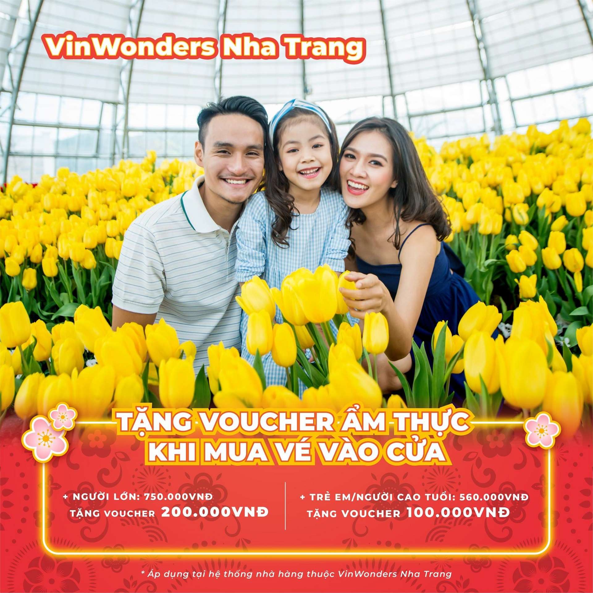 lịch hoạt động và ưu đãi VinWonders Nha Trang